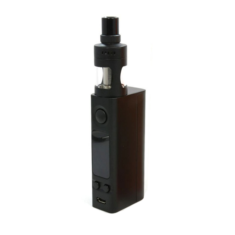 evic VTwo Mini